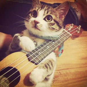 年少不知熟女好v69XX
